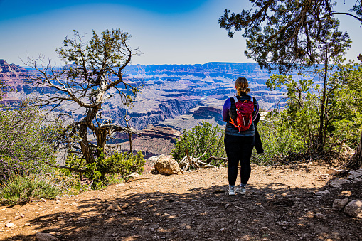 Taking in the view at Shoshone Point in Grand Canyon National Park, Arizona.