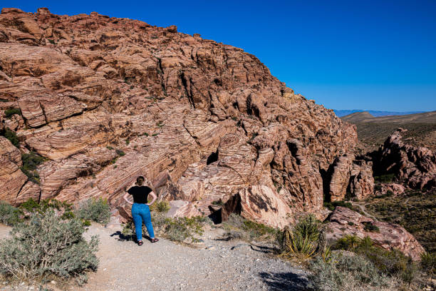 istock Taking in the View at Red Rock Canyon 1399285640