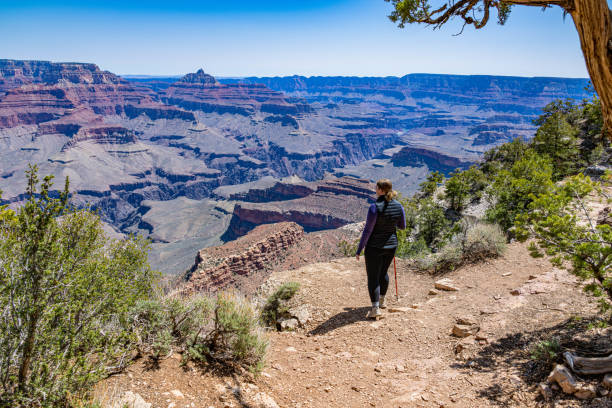 istock Viewing the Grand Canyon 1399286235