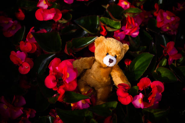 A plush teddy bear with vibrant orange fur is placed on the ground amidst lush green grass and plants enjoying the sunny atmosphere of a peaceful garden.