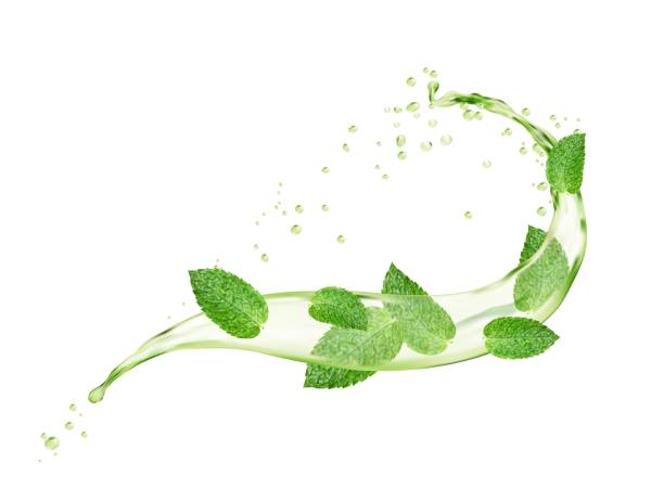 листья зеленой мяты и травяной чай волной круглого брызга - green tea tea scented mint stock illustrations