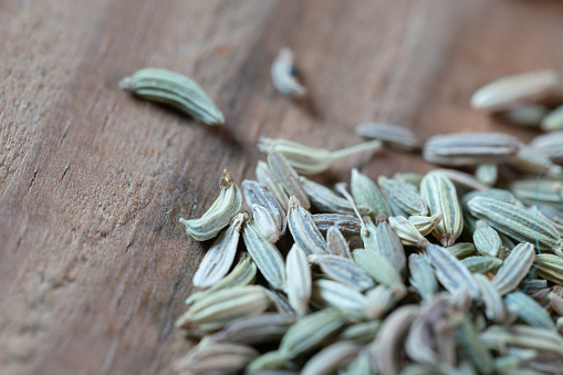 chinese medicine fennel seed