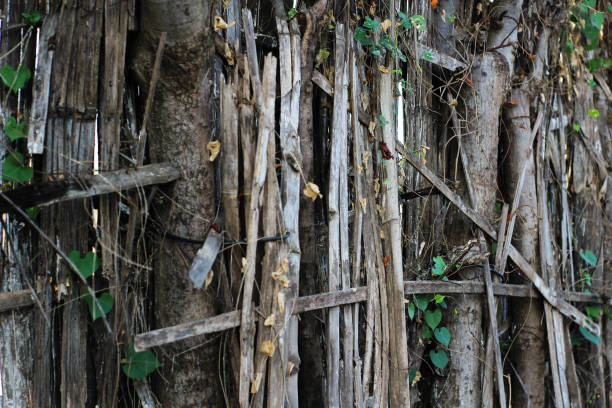 istock The bamboo fence is starting to crumble 1399309353