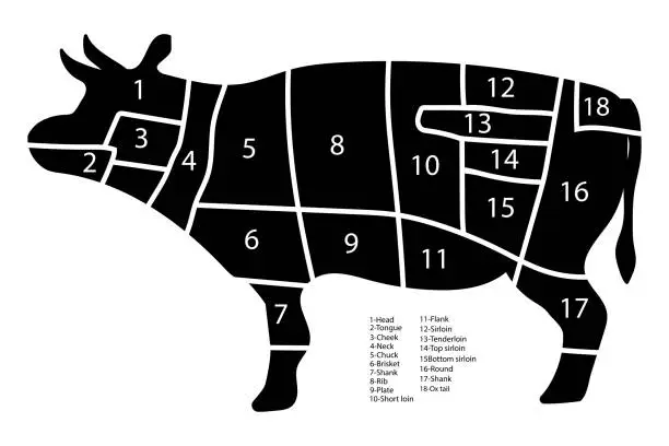 Vector illustration of bull slicing scheme. Slicing chart with numbers. Vector illustration. stock image.