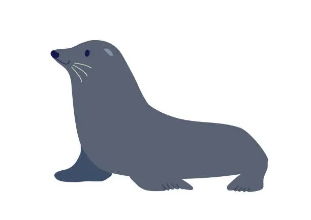Vector illustration of Vector illustration of sea lions.