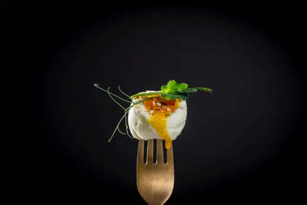 Soft-boiled egg with pea microgreens on a fork on a black background, close-up, breakfast time, copy space