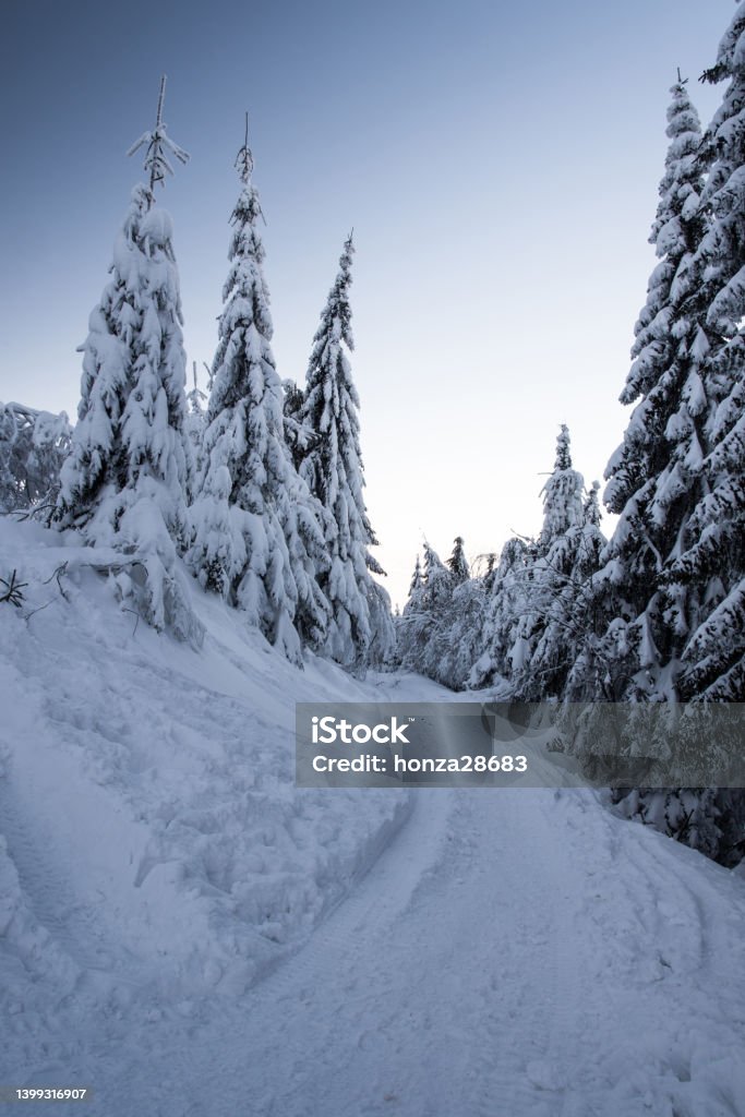 snow covered hiking trail with frozen trees and clear sky in winter mountains snow covered hiking trail with frozen trees and clear sky in winter Moravskoslezske Beskydy mountains bellow Lysa hora hill in Czech republic Beauty In Nature Stock Photo