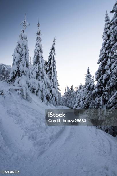 Snow Covered Hiking Trail With Frozen Trees And Clear Sky In Winter Mountains Stock Photo - Download Image Now