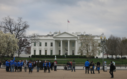 Lets Go Biden - US Politics: White House & Flags