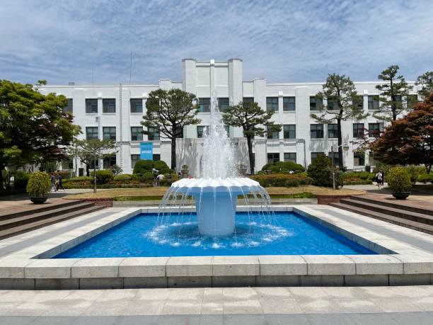 istock Summer comes in Seoul 1399320049