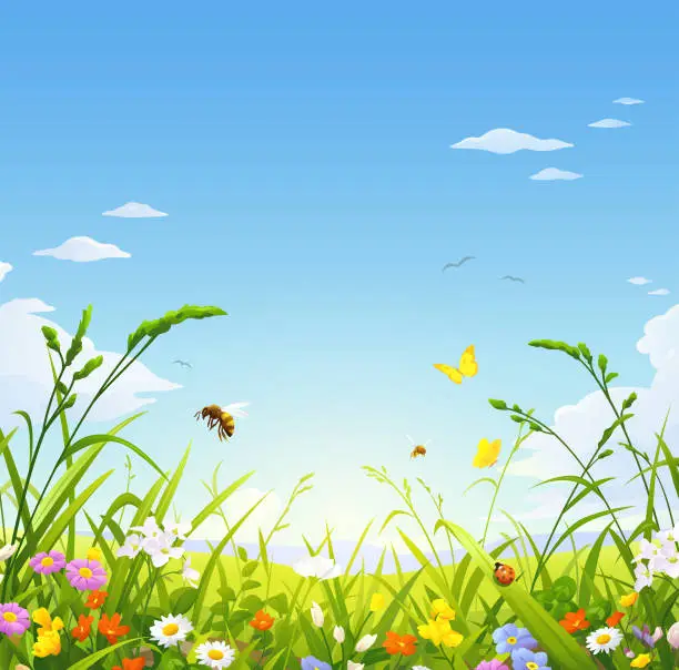 Vector illustration of Summer Meadow With Grasses, Bees And Flowers