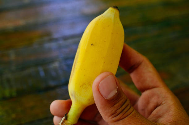 istock sweet thai banana 1399322229