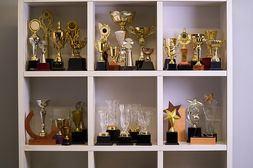 Group of trophies on shelf.