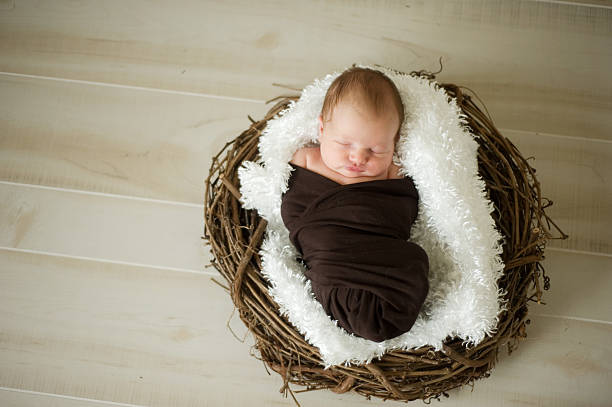 istock Newborn Baby in a Nest 139933289