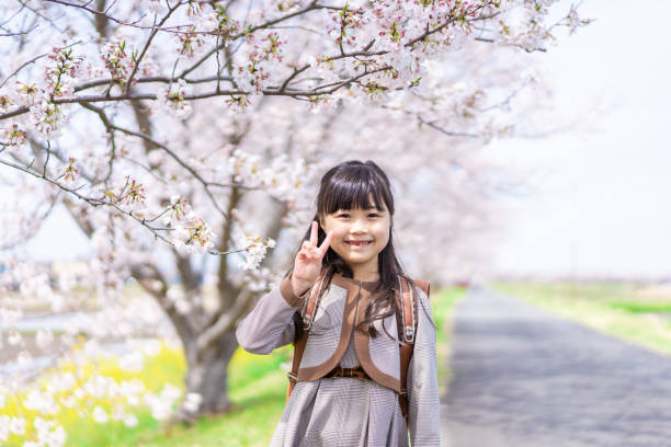 fille posant pour une pose de paix sous un cerisier - cherry blossom sakura cherry tree tree photos et images de collection