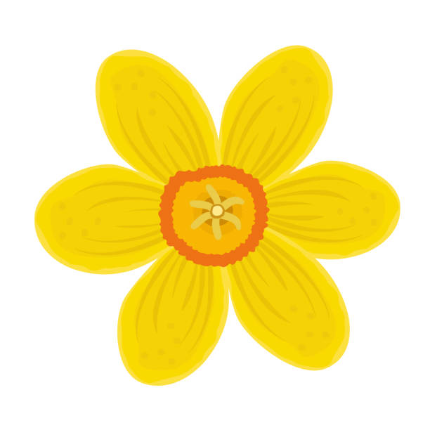 Jonquil Luminous Yellow Jonquil Luminous Yellow
