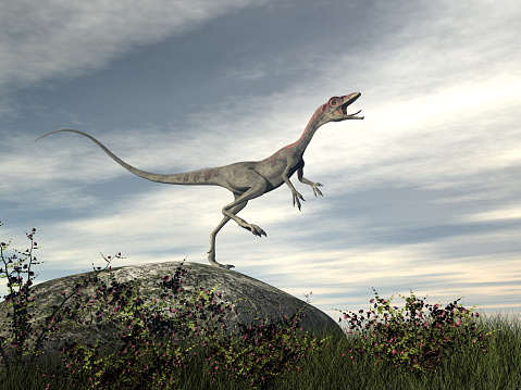 Compsognathus dinosaur standing on a rock by cloudy day - 3D render
