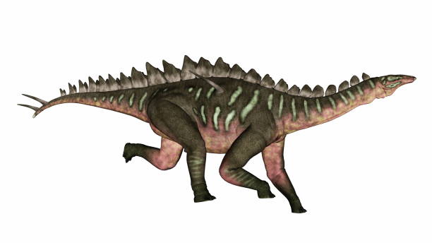 Miragaia dinosaur running head up - 3D render stock photo