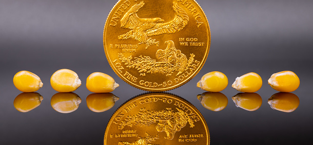 One ounce gold coin with row of corn kernels presented as precious gems, concept of food commodity inflation and hard currency barter under sanctioned global trade