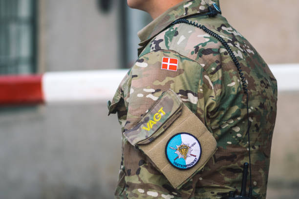 bandiera della danimarca ed emblema per le guardie reali danesi su un'uniforme da soldato. esercito danese - presidente della russia foto e immagini stock