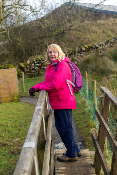 an active senior female hiker crossing stops to admire the view from a wooden bridge on a hiking trail to pendle hill near clitheroe in lancashire, england. - pendle imagens e fotografias de stock