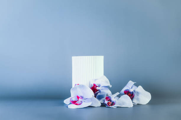 istock White geometric shape podium for product display on blue background with orchid flowers. Round stage, stand for product promotion in minimal style. Mockup with copy space. Selective focus. 1399343046