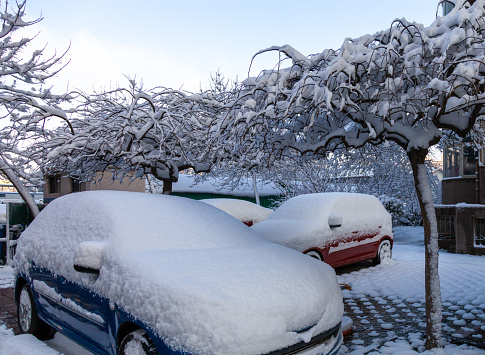 snow on car after snowfall