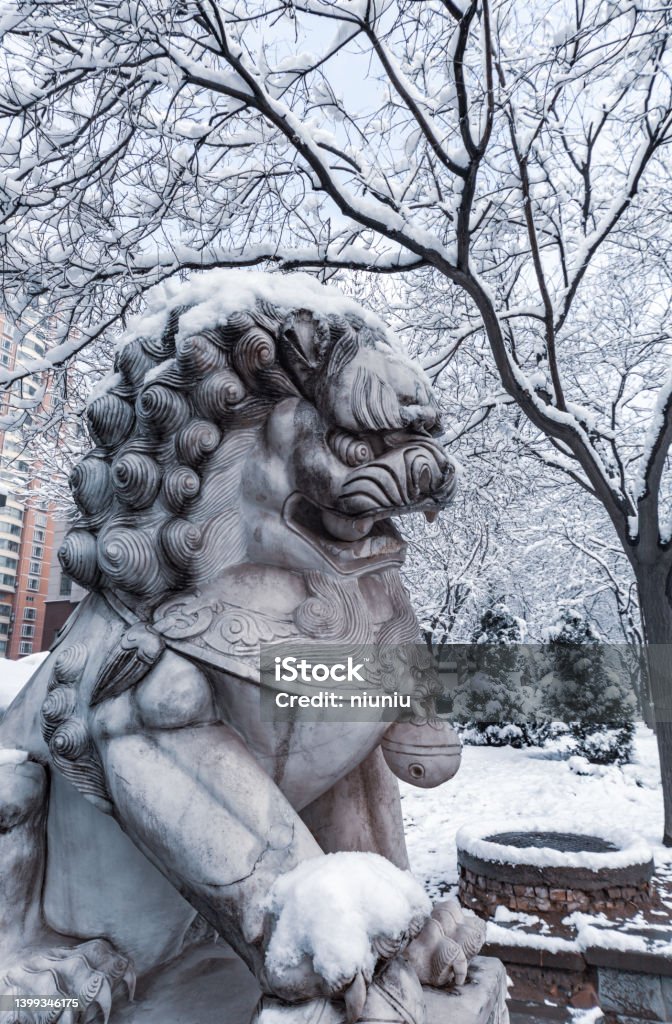 Lion in the snow closeup Antique Stock Photo