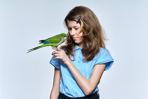 Smiling child girl with green quaker parrot looking at pet on light studio background. Animals, bird owner, childhood, child and pet friendship concept