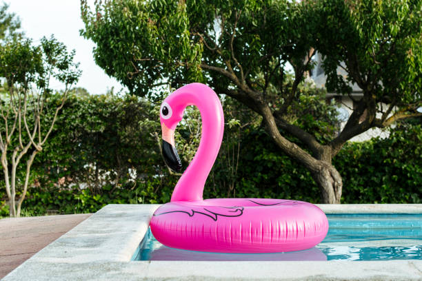 istock Pink inflatable flamingo in the pool 1399350088