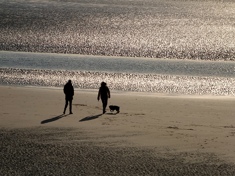 couple backlit by sunlight walking on the beach with a pet dog in the early evening with light reflected on the water