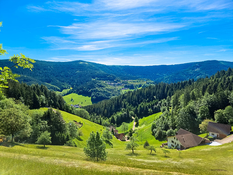 Spring image of the Euganean Hills (Northern Italy) with a green lawn and in the background, the hills in all their beauty.