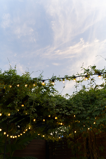 Illumination in the patio. Evening lighting with beautiful light bulbs at a birthday party.