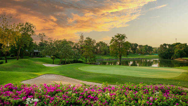 paisagem de campo de golfe - golf golf flag sunset flag - fotografias e filmes do acervo