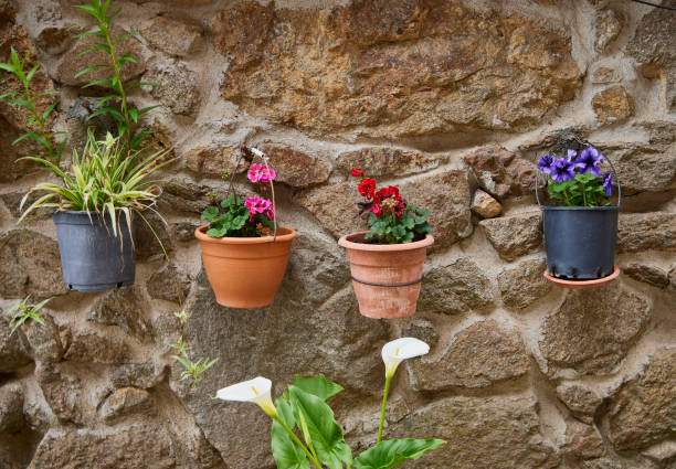 istock Flowers of various colors. S 1399362597