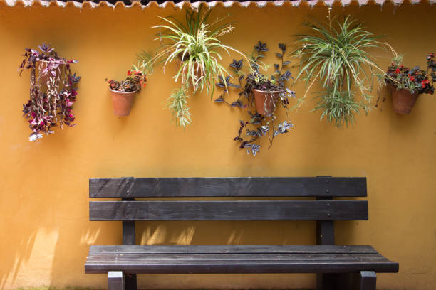 istock Yellow wall, flowers in pots and a brown bench 1399363183