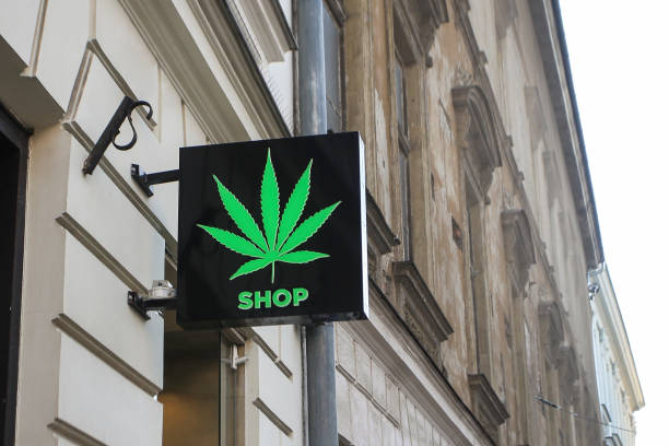 cannabis store - legalization imagens e fotografias de stock