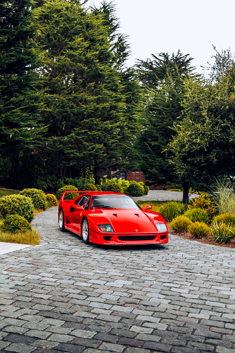 San Jose, CA, USA\n8/12/2021\nRed Ferrari F40 from the front with trees behind
