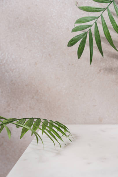 istock Natural marble table and green palm leaves 1399370559