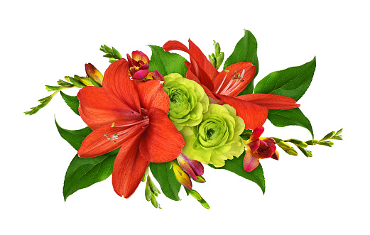 Floral arrangement with red amaryllis flowers, ranunculuses, fresia and green leaves isolated on white