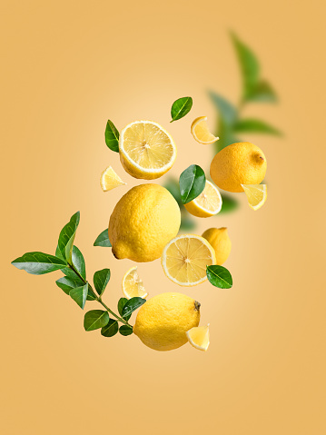 Levitation of fresh lemons and green leaves in the air on an isolated yellow background. Different parts: whole and sliced ​​lemons falling in the air. Creative drink advertising concept .Food levitation