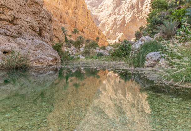istock The wonderful Wadi Shab, Oman 1399373408