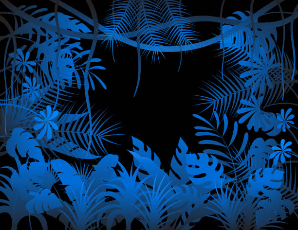 ilustrações de stock, clip art, desenhos animados e ícones de tropical jungle background. rainforest poster. - fern forest ivy leaf