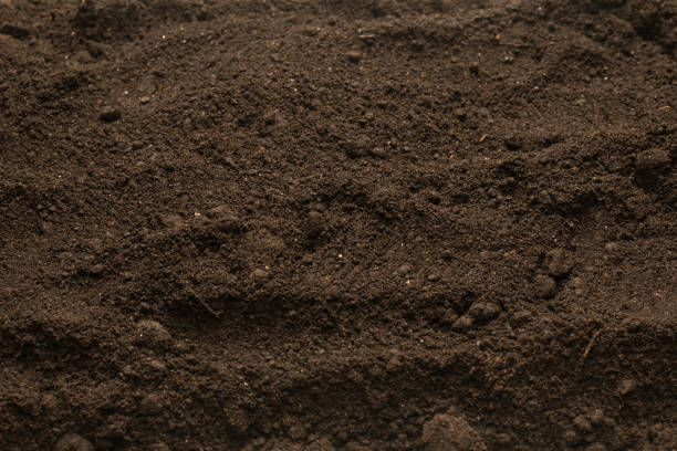 istock Black land for plant background. Top view. 1399373732