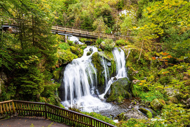 난간이있는 산책로 - black forest waterfall triberg landscape 뉴스 사진 이미지