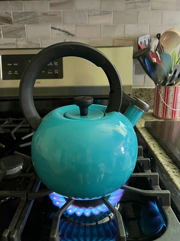 Whistling teapot