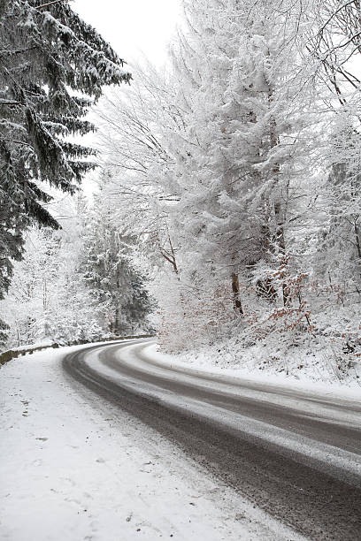 istock Winter road through the woods 139938064