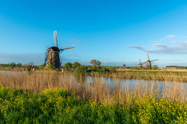 istock Beautiful dutch windmill landscape at sunrise 1399383205