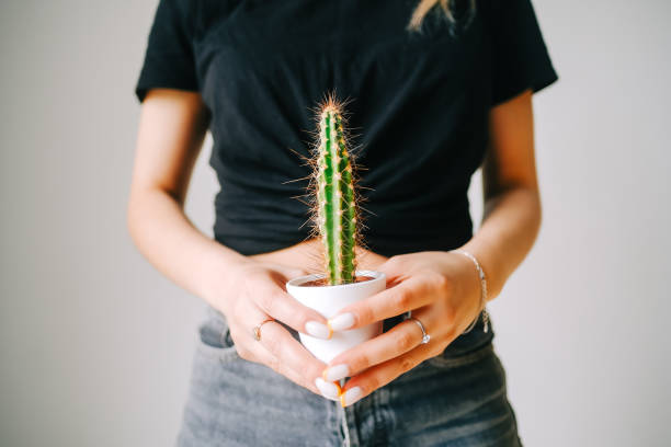 istock Young caucasian woman holding potted cactus on a white background. 1399388127