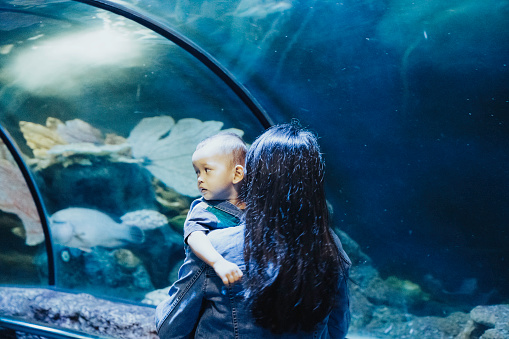 young family enjoying a day at the aquarium